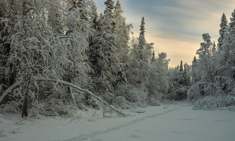 Фото сделанное пользователем tikhon.s4