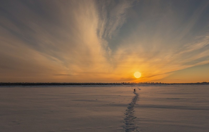 Фото сделанное пользователем tikhon.s4