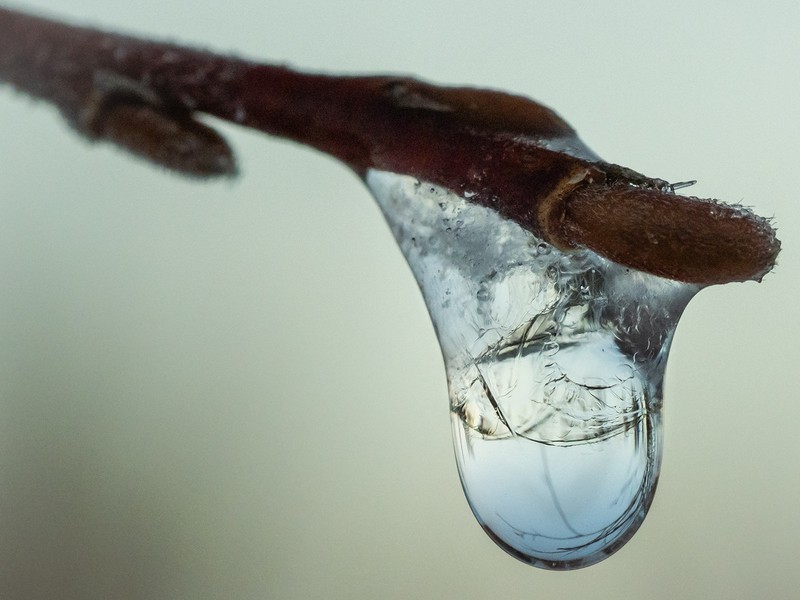 Фото сделанное пользователем tikhon.s4
