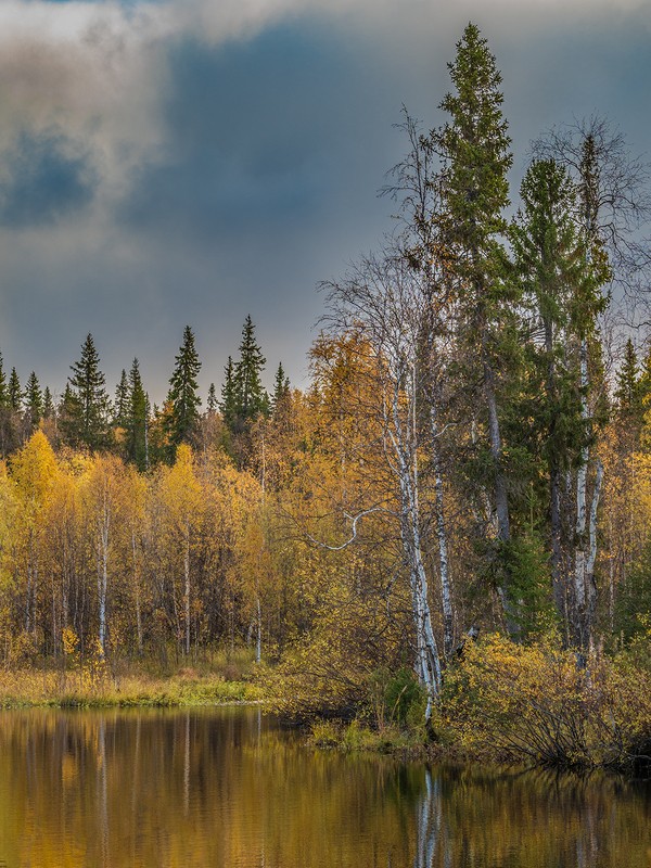 Фото сделанное пользователем tikhon.s4