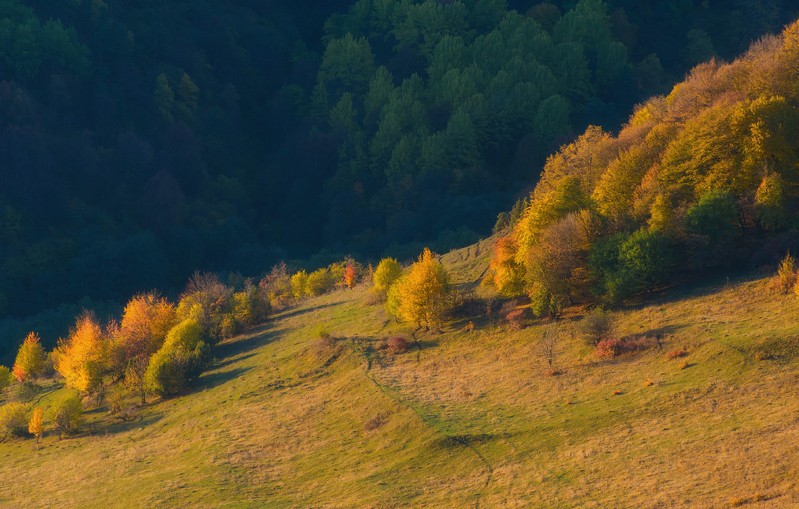 Фото сделанное пользователем Lurdess