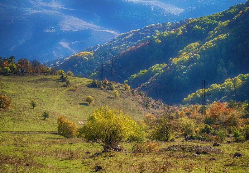 Фото сделанное пользователем Lurdess