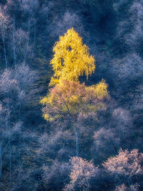 Фото сделанное пользователем Lurdess