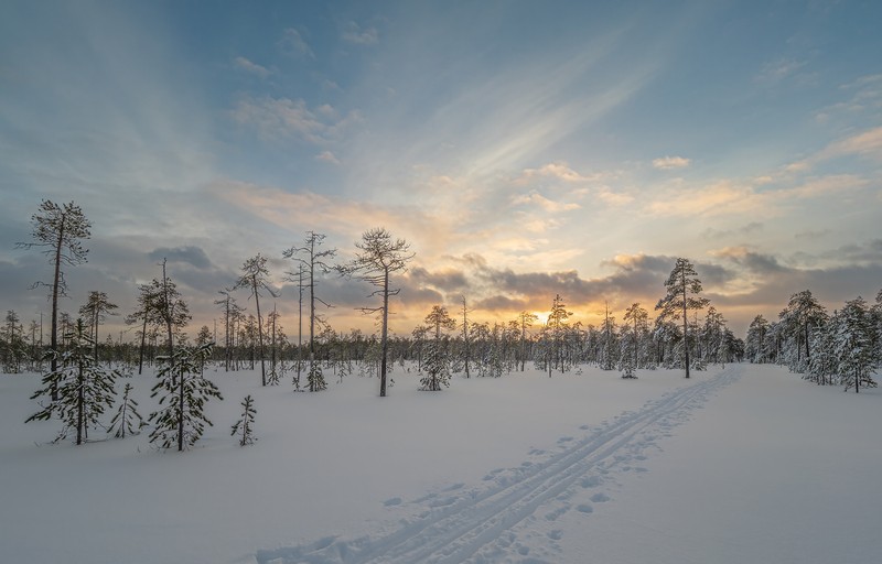 Фото сделанное пользователем tikhon.s4